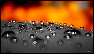 Water Droplets On My Cap